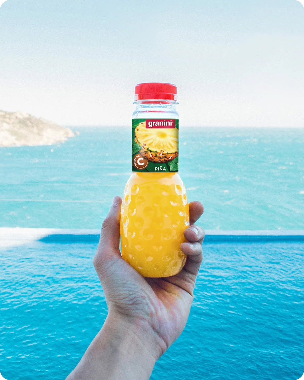 Piña - Para llevar - Pack 12 (12x0,33L) – granini