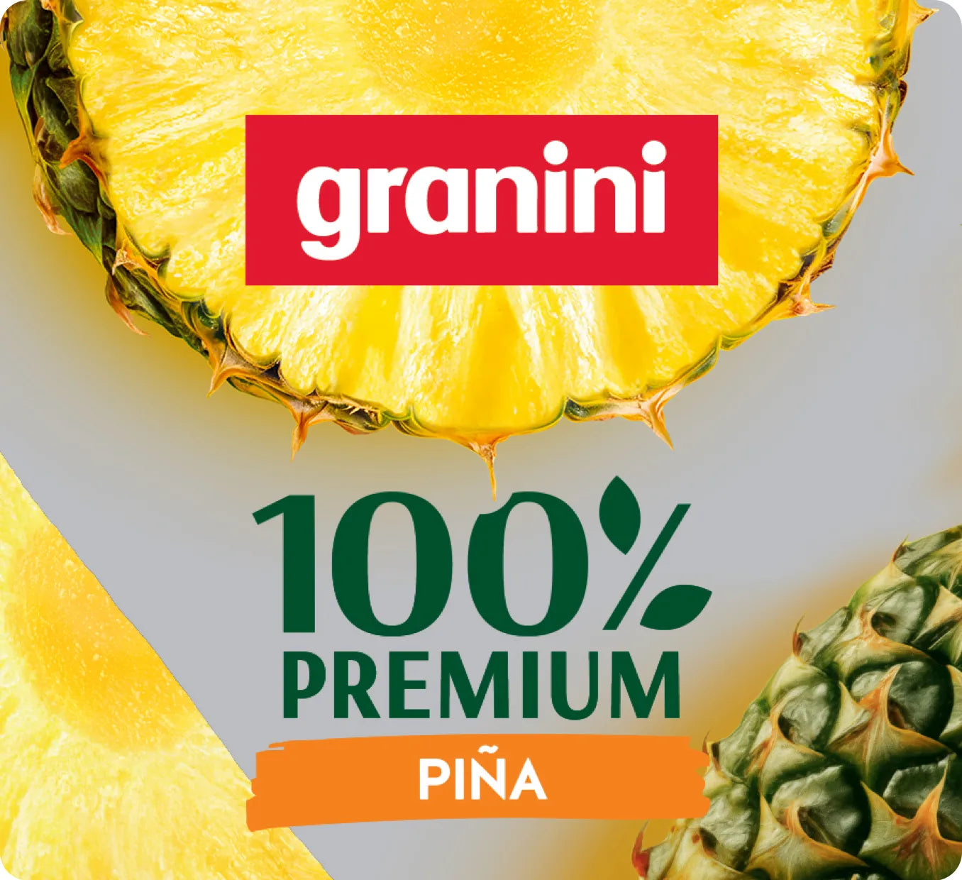 
                  
                    Piña - 100% Premium - Pack 6 (6x1L)
                  
                