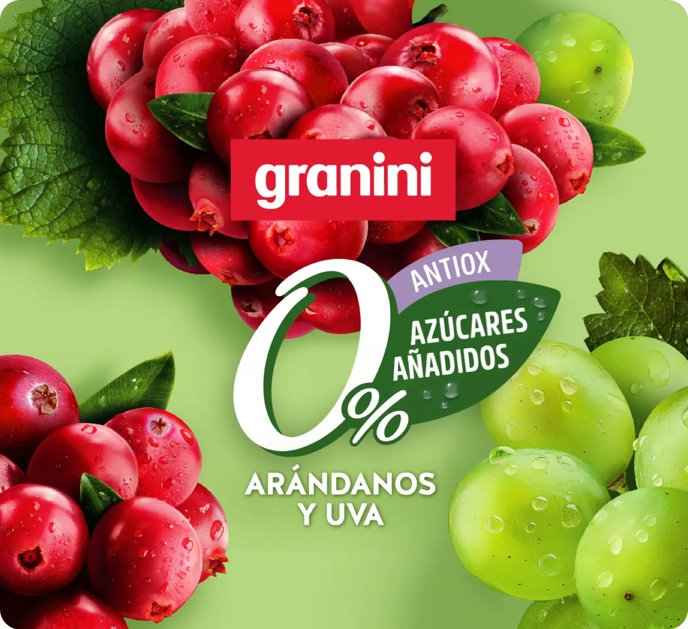 
                  
                    Arándanos y Uva - Clásicos 0% - Sin Azúcar - Pack 6 (6x1L)
                  
                